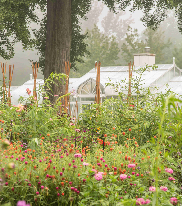 Cutting garden in summer