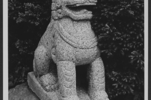 FOO DOG, ONE OF TWO