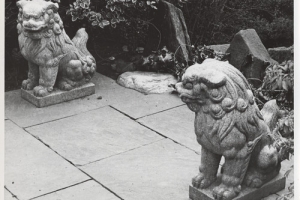 FOO DOG, ONE OF TWO