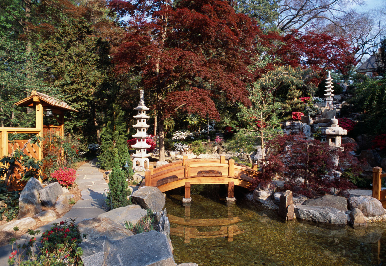 Japanese-style Garden Bridge hardstone path red maples and green conifers