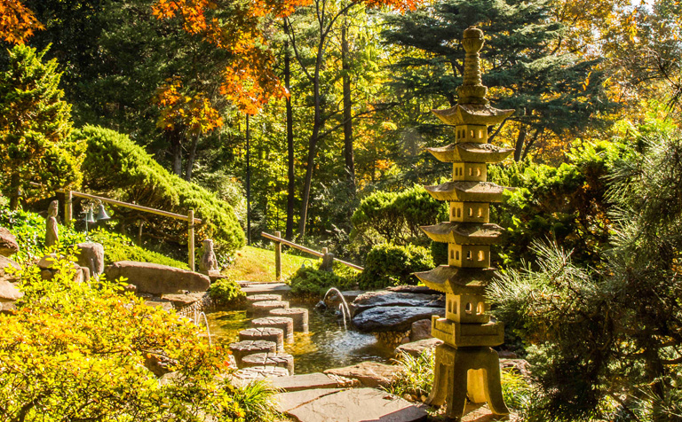 Japanese-style garden in fall