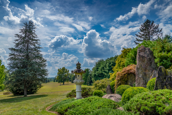 Image from the Tashiding gardens, featuring an expansive blue sky dotted with clouds, and a lush garden scape with a variety of trees and bushes. 