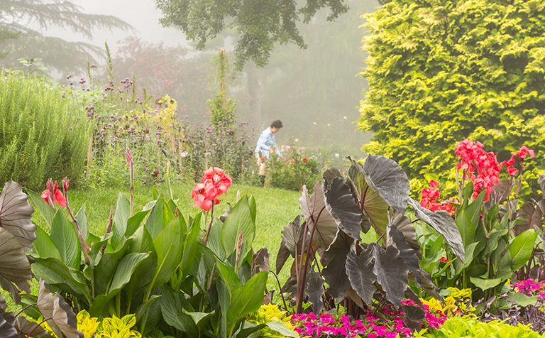 Horticulture staff in the cutting garden