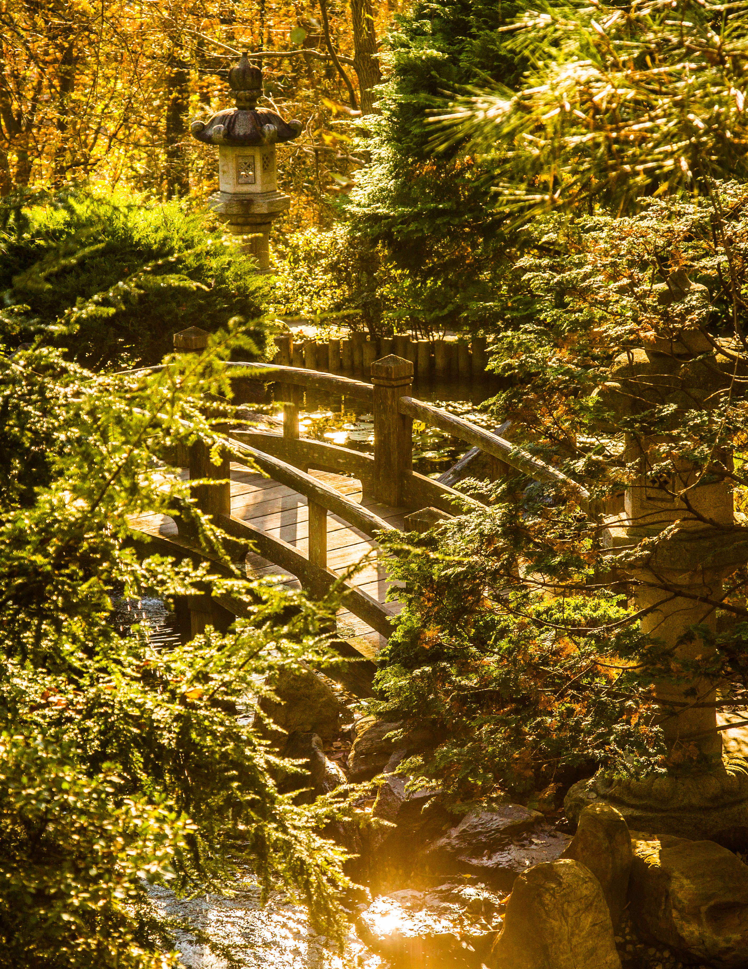 Bridge in the Japanese-style garden
