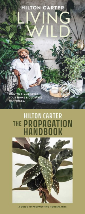 Image containing the book covers for "Living Wild" and "The Propagation Handbook," both written by Hilton Carter.