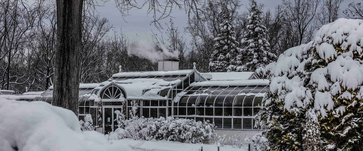 Hillwood's greenhouse covered in snow