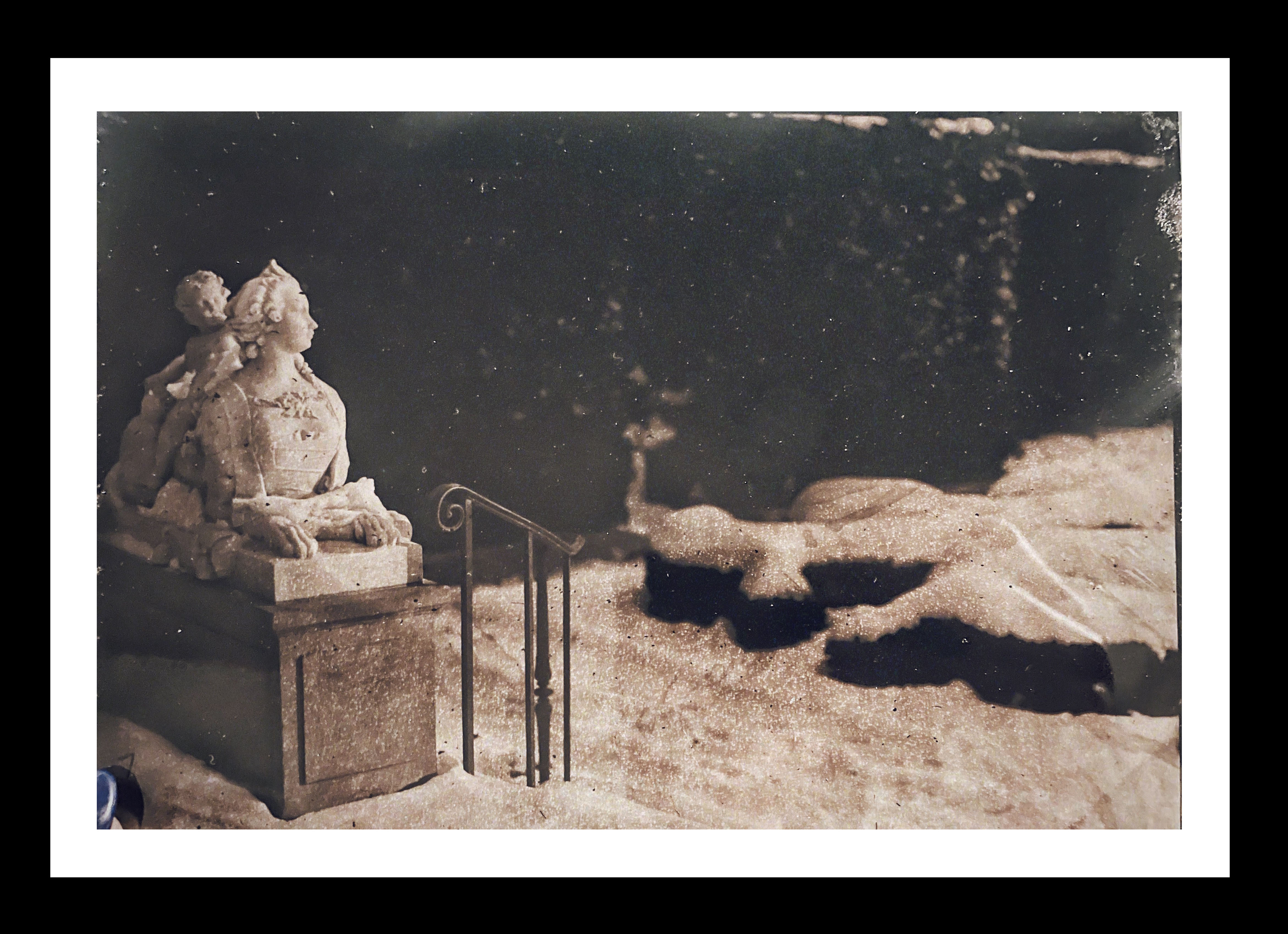 Film photo of Hillwood's rose garden in the winter.