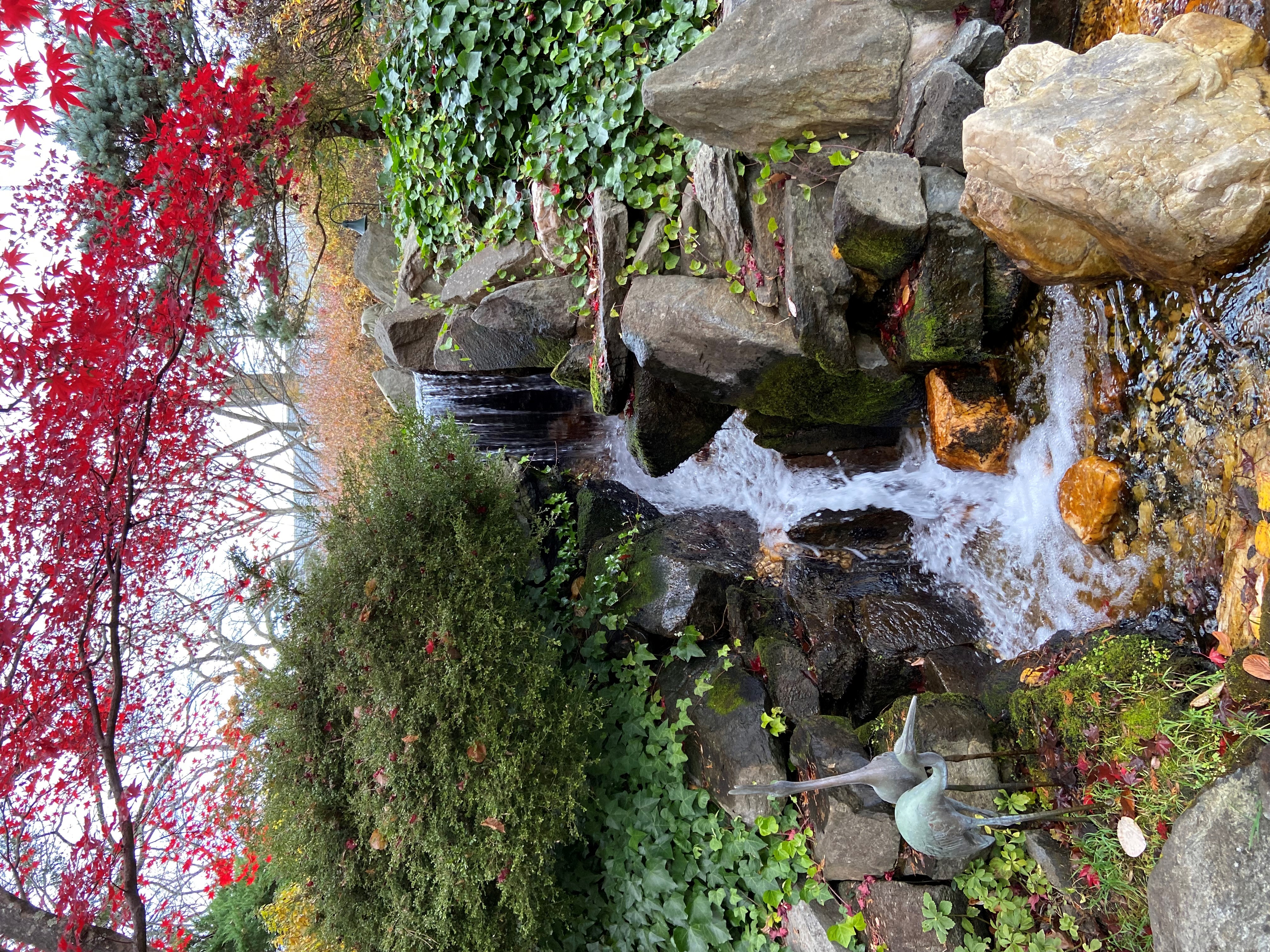 Japanese-style garden at Hillwood