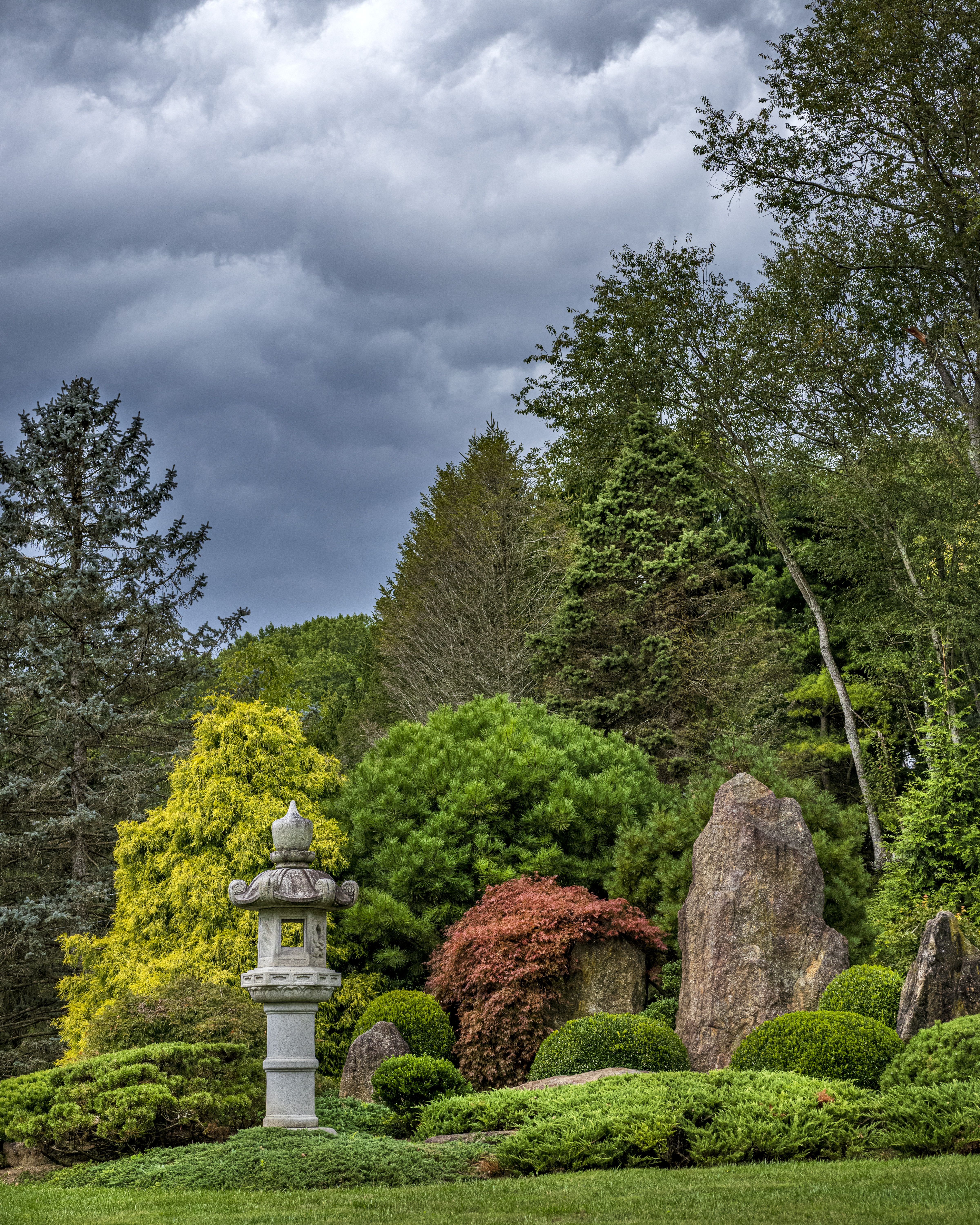 Image from the Tashiding gardens. Featuring well-manicured trees of a variety of colors.