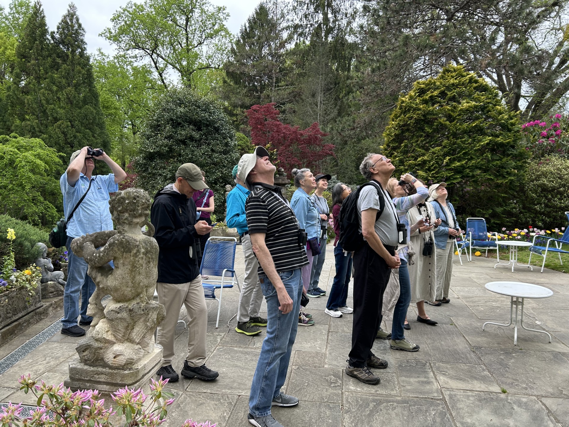 Bird Walk
