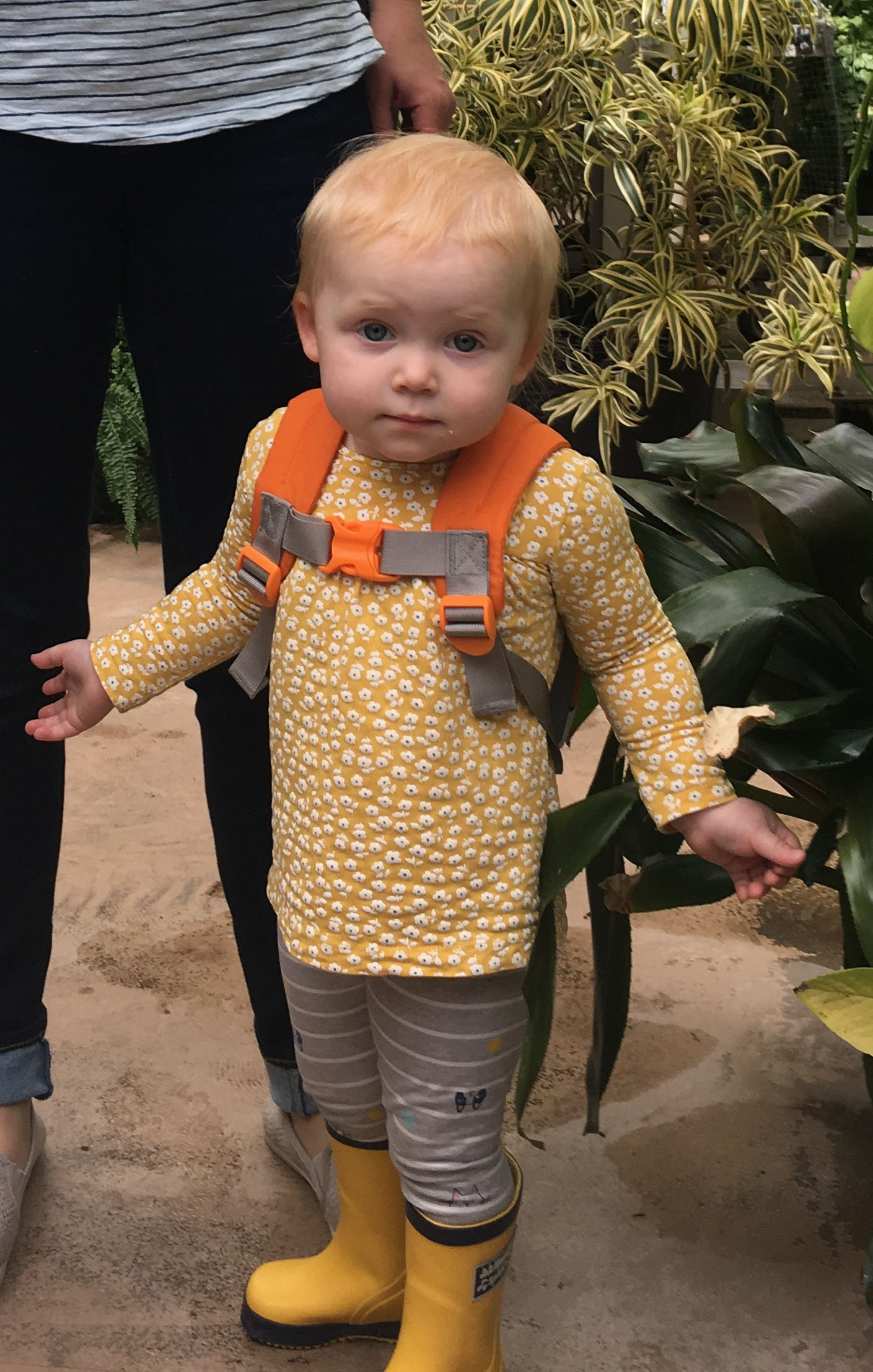 A toddler exploring in Hillwood's greenhouse