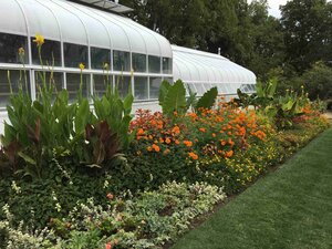 Greenhouse exterior summer display red orange green tropical plants