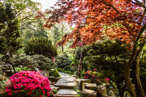 Japanese-style garden hardstone path surrounded by red and green foliage