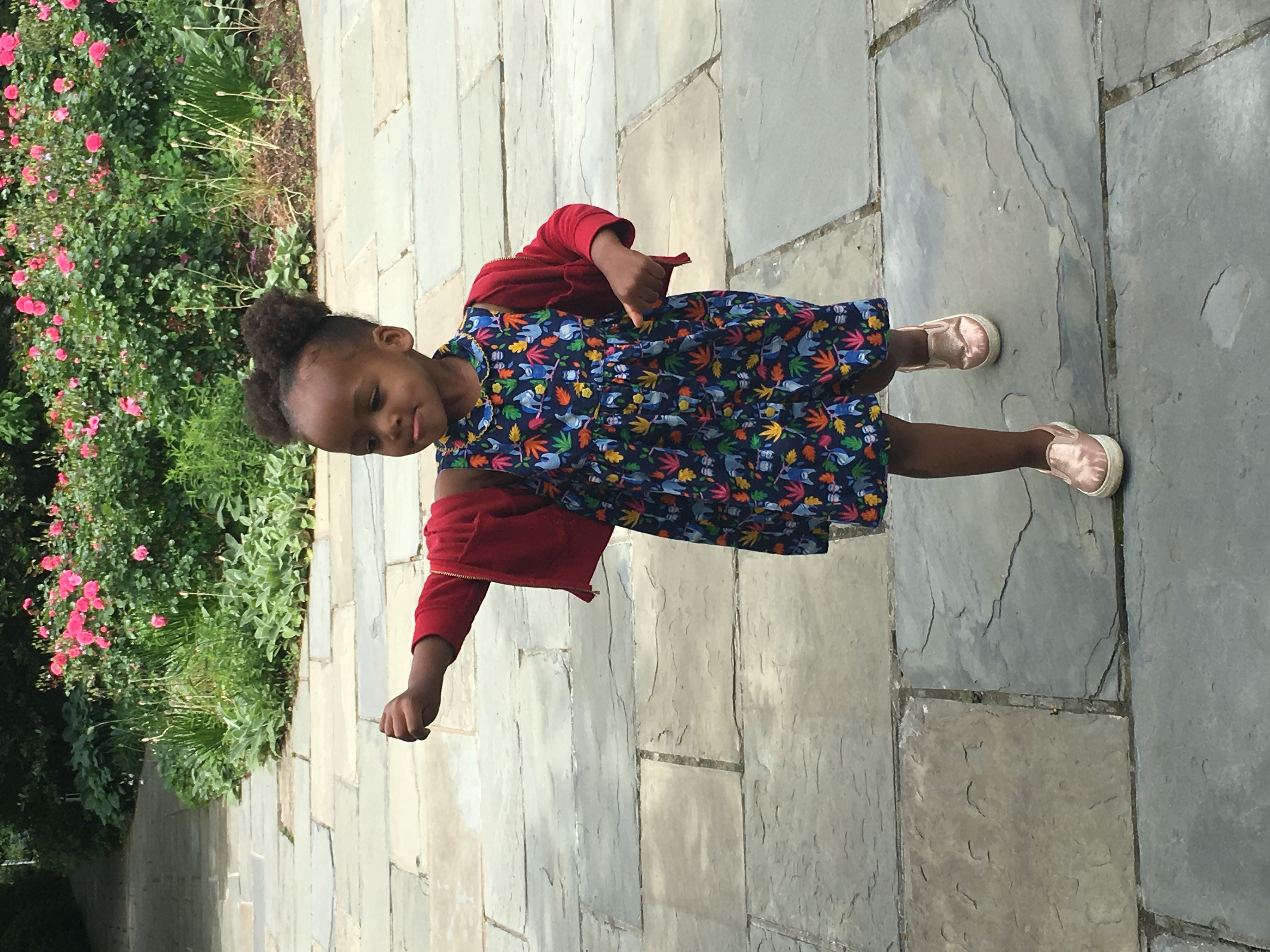 A preschooler marches along a garden path.