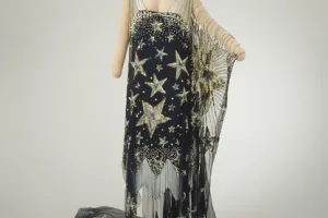 "STARRY NIGHT" COSTUME