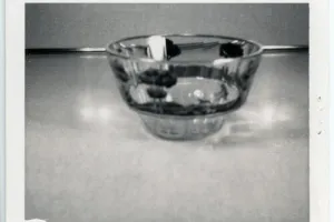 Finger Bowl Plate, one of 12