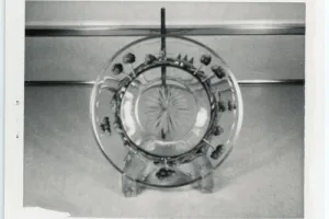 Finger Bowl, one of 12