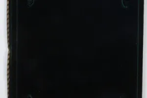 GRANT OF TITLE OF NOBILITY