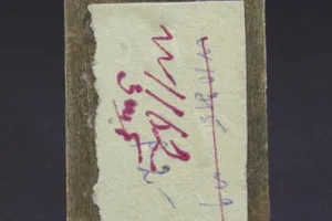 SAINTS FOR THE MONTH OF OCTOBER, ST. MAROUS?