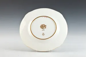 DINNER PLATE, ONE OF 16