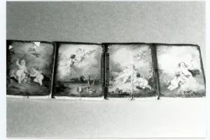 PHOTOGRAPH SCREEN