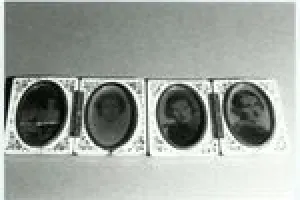 PHOTOGRAPH SCREEN