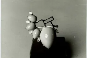CLIP