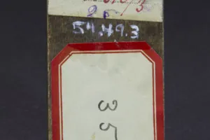 SAINTS FOR THE MONTH OF OCTOBER, ST. JOHN CHRYSTOSTUM?