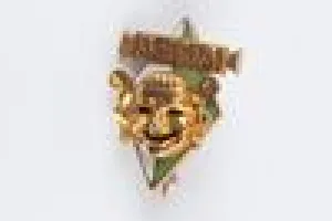 PIN (ONE OF TWO)