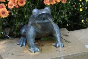 BULLFROG