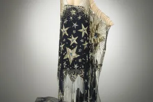 "STARRY NIGHT" COSTUME