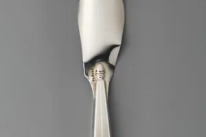 SHOEHORN FROM A DRESSING TABLE SET