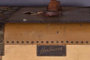 TRAVELING TRUNK