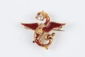 PIN