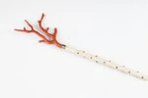 BACK SCRATCHER (?)