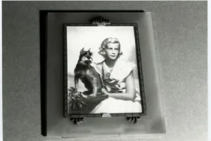 MINIATURE OF NEDENIA HUTTON