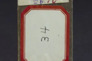 SAINTS FOR THE MONTH OF OCTOBER: ST. VASILII (?)