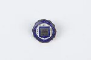 PIN