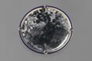 ASHTRAY