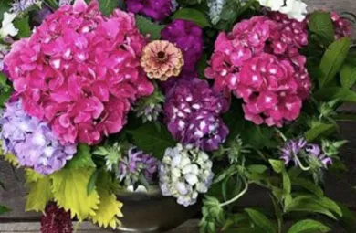 Colorful floral arrangement