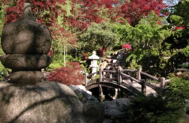 Japanese-style Garden Bridge hardstone path red maples and green conifers