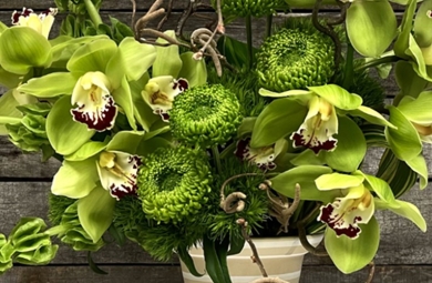 Floral arrangement featuring green cymbidium orchids, curvy bells of Ireland and green mums