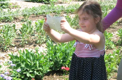 preschooler doing a color search activity in the gardens