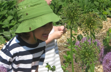 preschooler looking closely at a plant in Hillwood's garden