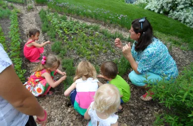 preschoolers gathered around preschool instructor examining plants in cutting garden