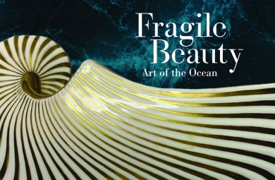 Fragile Beauty exhibition branding