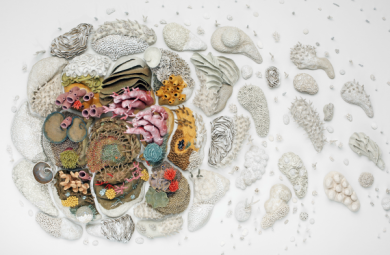 Image of a work by artist Courtney Mattison. Small, porcelain coral pieces are arranged into an intricate design on a white wall.