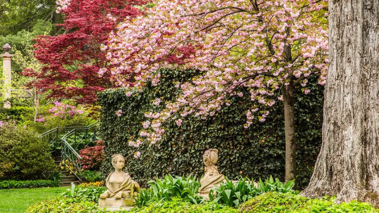 Spring in the gardens