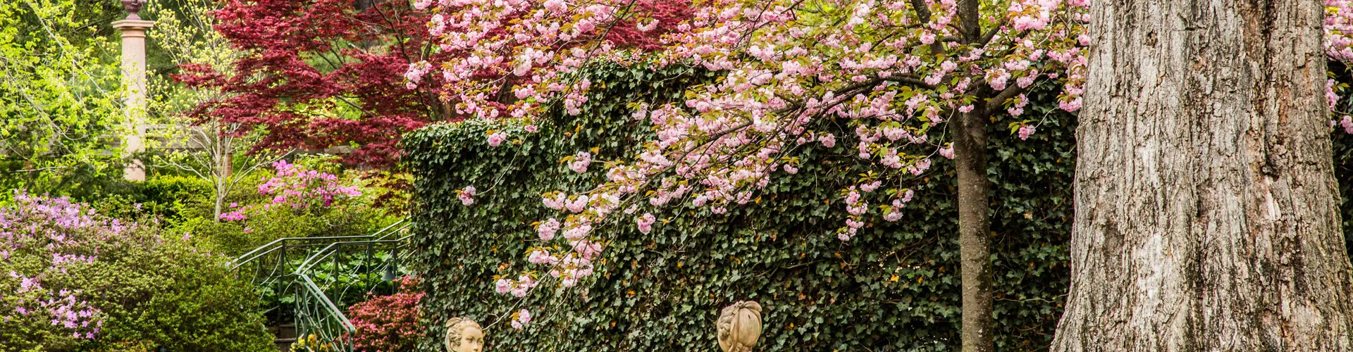 Spring in the gardens