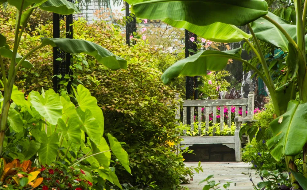 Hillwood Estate, Museum & Gardens, photographed by Eric Kvalsvik